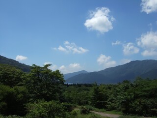 箱根の芦ノ湖界隈の自然風景。