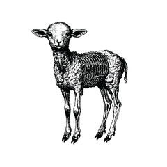 Sheep Pixel art. The pixels are scattered, dissolve. Vector monochrome style. Abstract random squares, background. Template. Monochrome style.