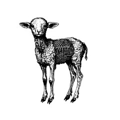 Sheep Chain Pixel art. The pixels are scattered, dissolve. Vector monochrome style. Abstract random squares, background. Template. Monochrome style. Vectores. Vector para descargar