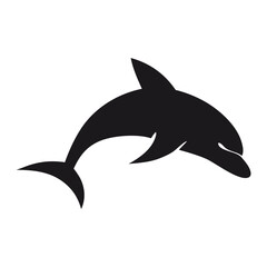 dolphin isolated on white background