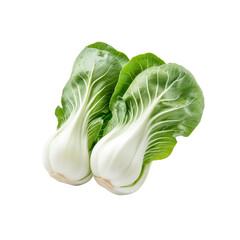 Fresh Bok Choy, Two Heads of Green and White Chinese Cabbage