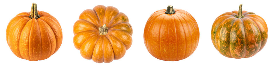 A set of orange pumpkins of various shapes and sizes on a transparent background. Autumn harvest, traditional fall decorations, and seasonal concepts.
