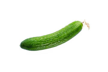 Fresh and tasty cucumber isolated on white background