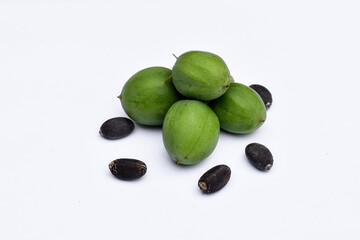 Castor fruit (Jatropha curcas) white background, Ricinus communis