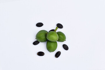 Castor fruit (Jatropha curcas) white background, Ricinus communis