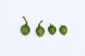 Castor fruit (Jatropha curcas) white background, Ricinus communis