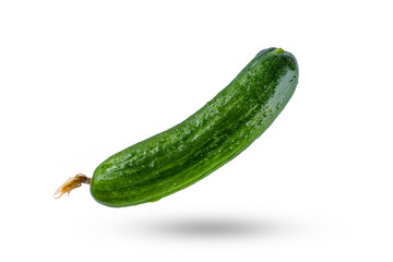 Fresh and tasty cucumber isolated on white background