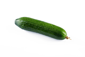 Fresh and tasty cucumber isolated on white background