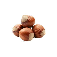 Four Hazelnuts in a Pile, Close-Up Studio Shot