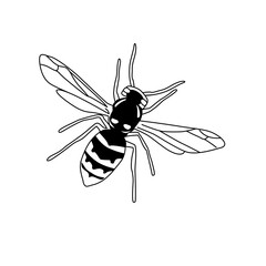 logo bee