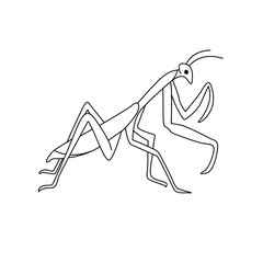 line art praying mantis