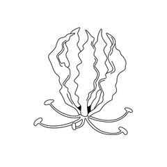 logo tropical flower