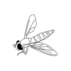 one line wasp