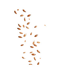 Golden Flax Seeds Falling on Black Background
