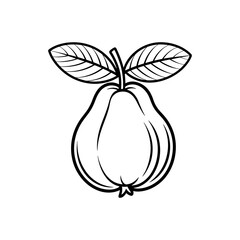 Line art illustration of a guava fruit with leaves