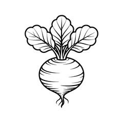 Line art illustration of a turnip with leaves