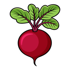 Cartoon beetroot with green leaves illustration