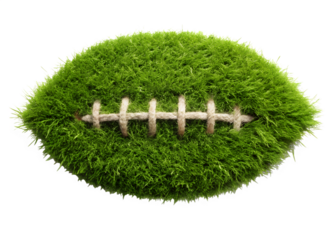 football laces made of grass png image on transparent background