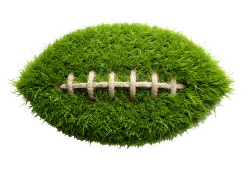 football laces made of grass png image on transparent background
