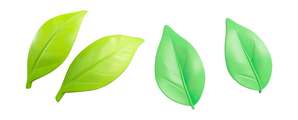 3D Three Green Leaves Isolated on White on a Transparent Background