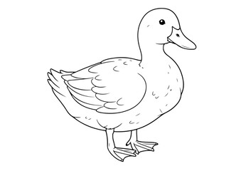 Obraz premium duck cartoon outline line art coloring page for adult childern kids, vector illustration, white background