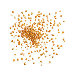 Exploding Corn Kernels Golden Burst of Grains on Black Background