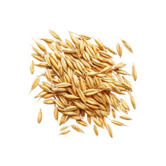 Golden Oat Grains Scattered on Black Background