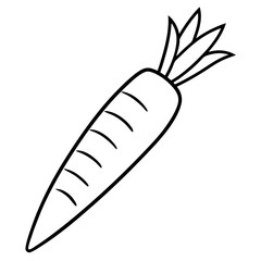 Carrot line art vector