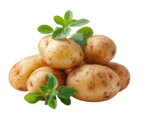 Fresh Potatoes with Oregano Garnish A Delicious Harvest Vegetable Food Photography, transparent background