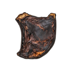 Charred Eggplant Slice, Close-up Studio Shot