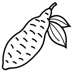Cassava line art vector