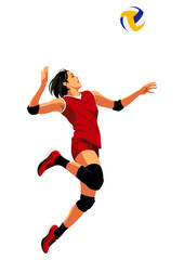 女子バレーボール選手