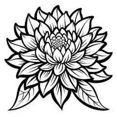 Chrysanthemum icon