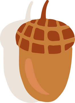 Fototapeta Two flat vector acorns are overlapping on transparent background, showing grid-patterned caps