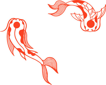 Fototapeta Pair of ornamental koi-like fish are circling in transparent background line art, showing fins