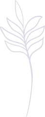 pale white line drawing is showing fern-like branch with paired leaves on transparent background