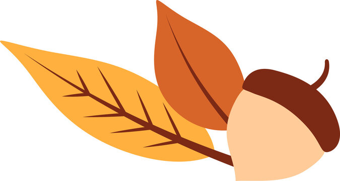 Fototapeta Flat art is featuring acorn on twig with yellow and orange autumn leaves, transparent background