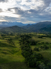 Colombian mountains, grazing landscape and coffe