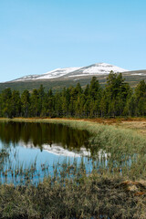 Photography from the Huldrestigen Path by the Valdresflye Scenic Route, Norway, crossing the Jotunheimen Mountains, in June 2025.