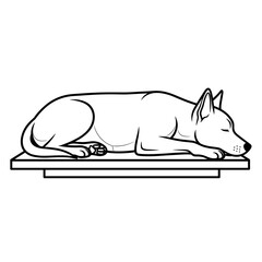 Obraz premium The dog sleeps peacefully on the vet's table, a cozy and relaxed atmosphere.