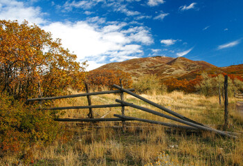 Salt Lake City Landscape