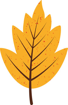 Fototapeta Stylized yellow autumn leaf showing brown veins, red speckles in vector with transparent background