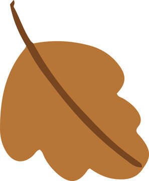Fototapeta Flat stylized autumn leaf is floating on transparent backdrop featuring lobed blade and dark midrib