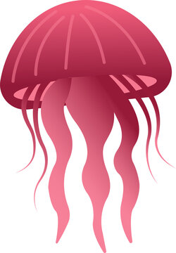 Vector jellyfish is floating on transparent background showing gradient bell and flowing tentacles