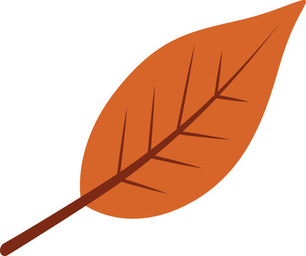 Fototapeta Flat vector graphic is showing orange leaf with darker veins on transparent background