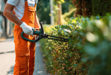 Gardener wearing orange overalls carefully trims hedges with an electric trimmer on a bright sunny day in a residential setting