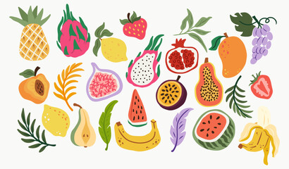 Colorful tropical fruit vector set with hand-drawn papaya, banana, dragon fruit, fig, mango, lemon, pear, pomegranate, watermelon, strawberry, grape, and decorative leaves and branches