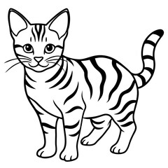Minimalist Sand Cat Line Art on Clean White Background