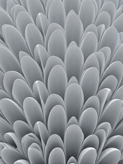 Obraz premium A Close-Up View of Numerous Overlapping, Smooth, White Petal-Like Forms Creating a Dense, Abstract Floral Pattern