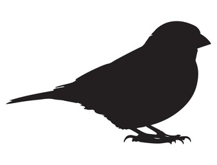 FINCH BIRD SILHOUETTE.